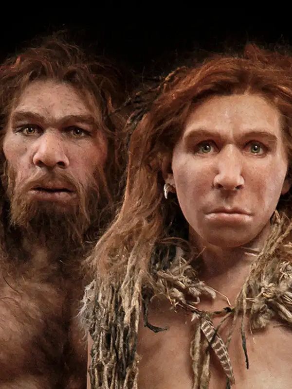 Hallan por primera vez una familia neandertal en una cueva de Siberia