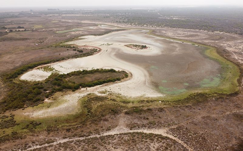 Santa Olalla, la laguna más grande de Doñana, se seca por segundo año consecutivo