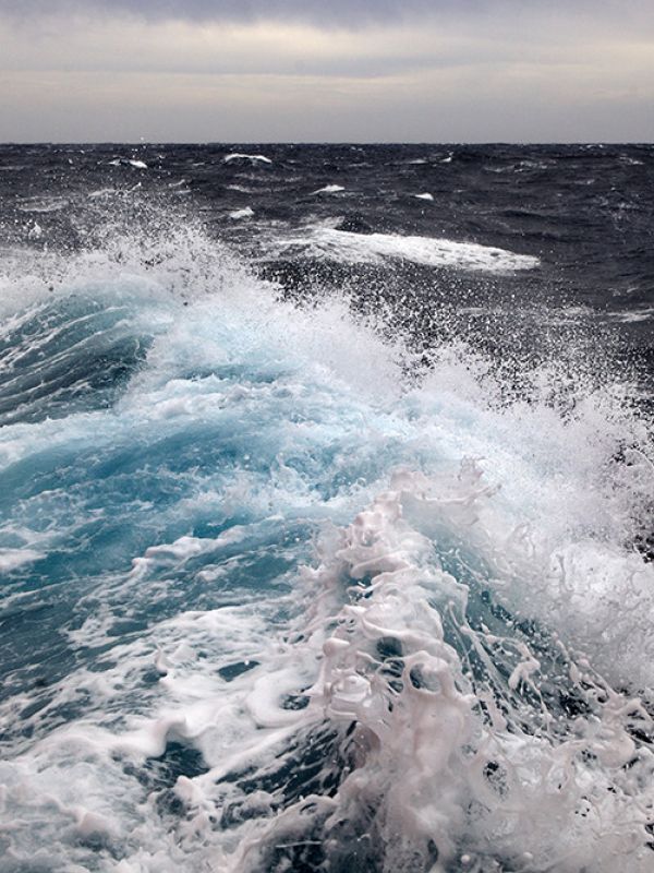 El CSIC lanza la plataforma Oceans+ para investigar la respuesta del medio marino al cambio climático