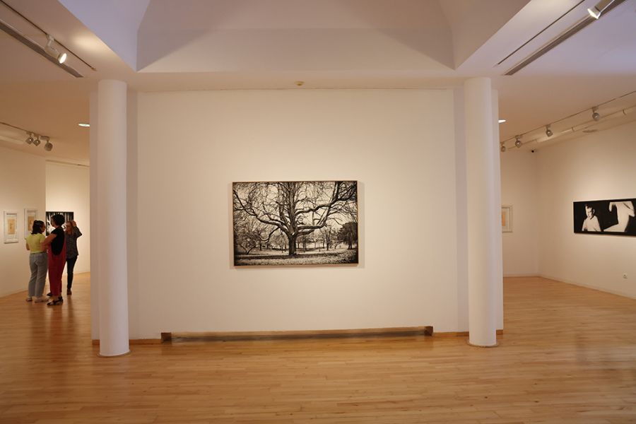El Centro del 27 de la Diputación presenta \'Todas las cosas del mundo\', una exposición de fotografías y poemas de Ricky Dávila