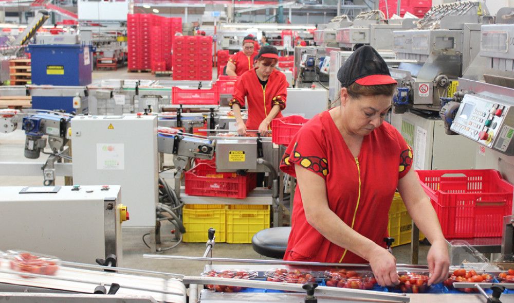 La Consejería de Empleo ampliará la cobertura de los incentivos a la contratación indefinida