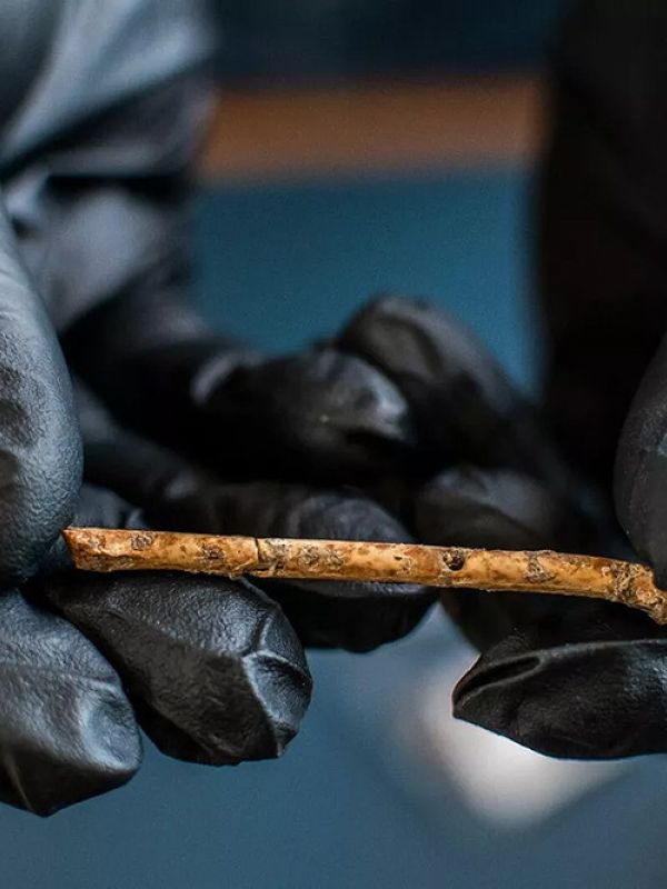 Encontrados en Israel reclamos hechos con huesos de aves prehistóricas de hace 12.000 años