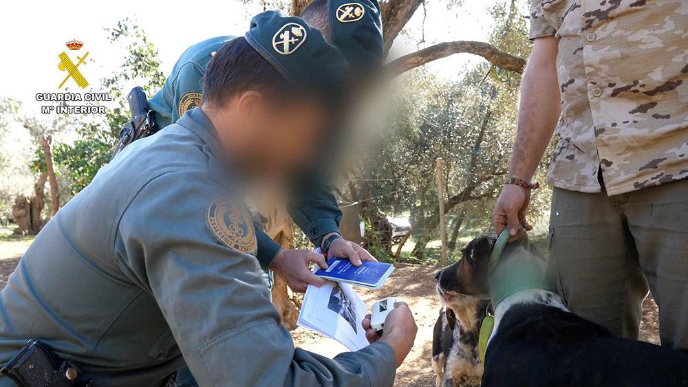 Son 58 los investigados por mutilar a más de mil perros en varias provincias de Andalucía