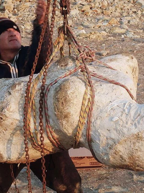 Descubiertos en Perú los restos de "un monstruo marino titánico"