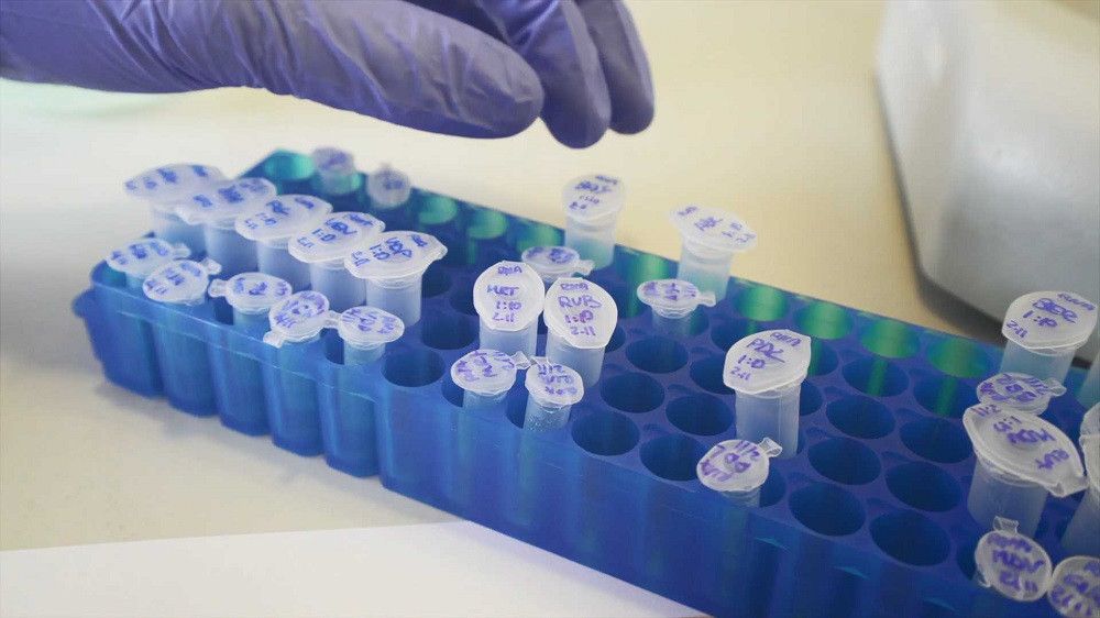 Comienza la segunda fase del proyecto VATar-COVID-19 para el seguimiento de las nuevas variantes del virus en aguas residuales