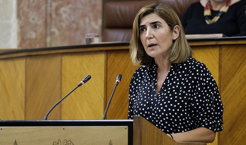 El 98,2% de los ayuntamientos ha solicitado ayudas de la Iniciativa AIRE del Gobierno de Andalucía