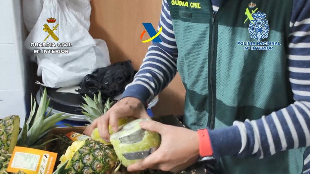 Demantelada una organización criminal que introducía en España cocaína en el interior de piñas “preñadas”