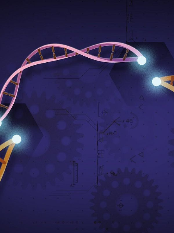 El CSIC y la UV patentan un método para detectar el virus de la covid-19 y otros patógenos mediante CRISPR