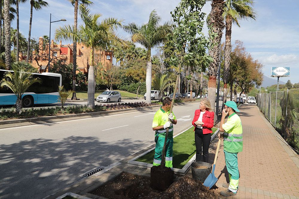 El Ayuntamiento concluye el ajardinamiento y la renovación de la red de riego de la avenida Príncipe Salman de Nueva Andalucía, que reducirá el consumo de agua en torno a un 50%