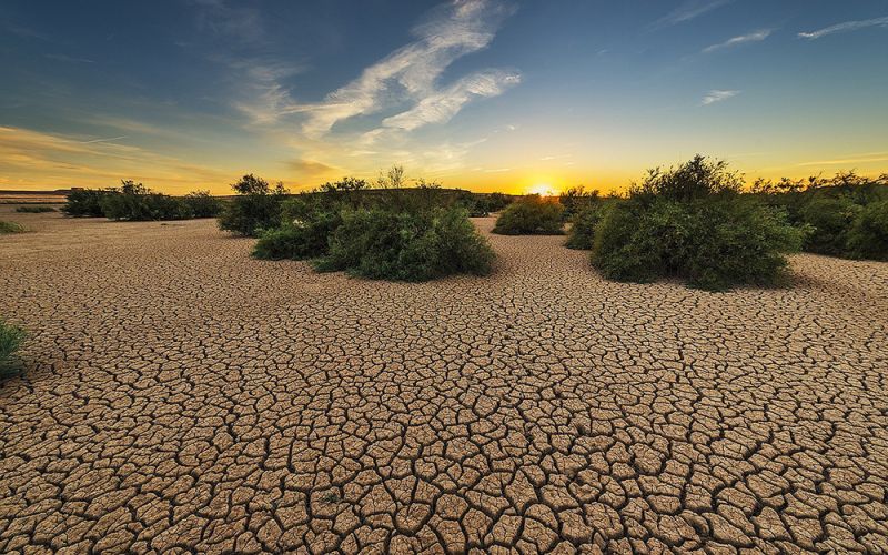 Los agentes de cambio global son más agresivos cuando actúan en conjunto sobre un ecosistema