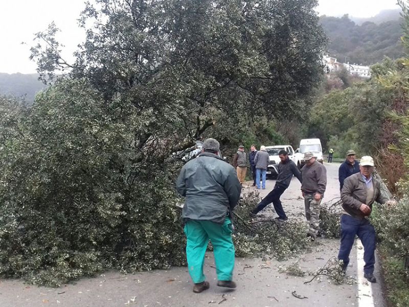 Ampliado el aviso naranja por fuerte viento a comarcas de Sevilla, Córdoba, Jaén y Málaga