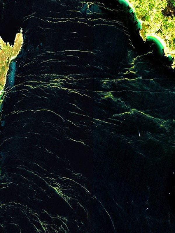El CSIC utiliza imágenes de satélite para monitorizar las mareas rojas en las rías gallegas