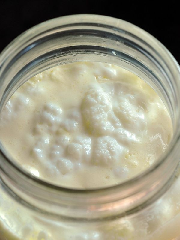 Un proyecto europeo busca desarrollar alimentos fermentados más saludables