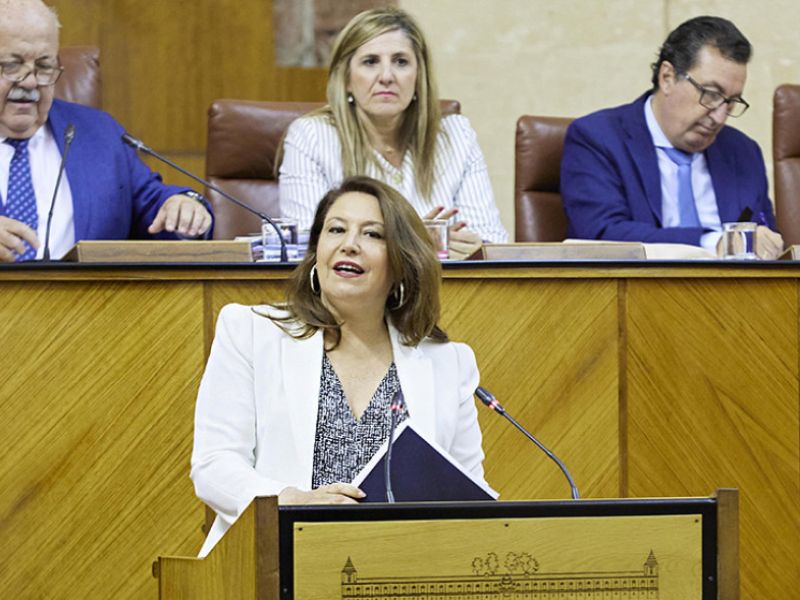 El Parlamento de Andalucía convalida las medidas y actuaciones del tercer decreto de sequía