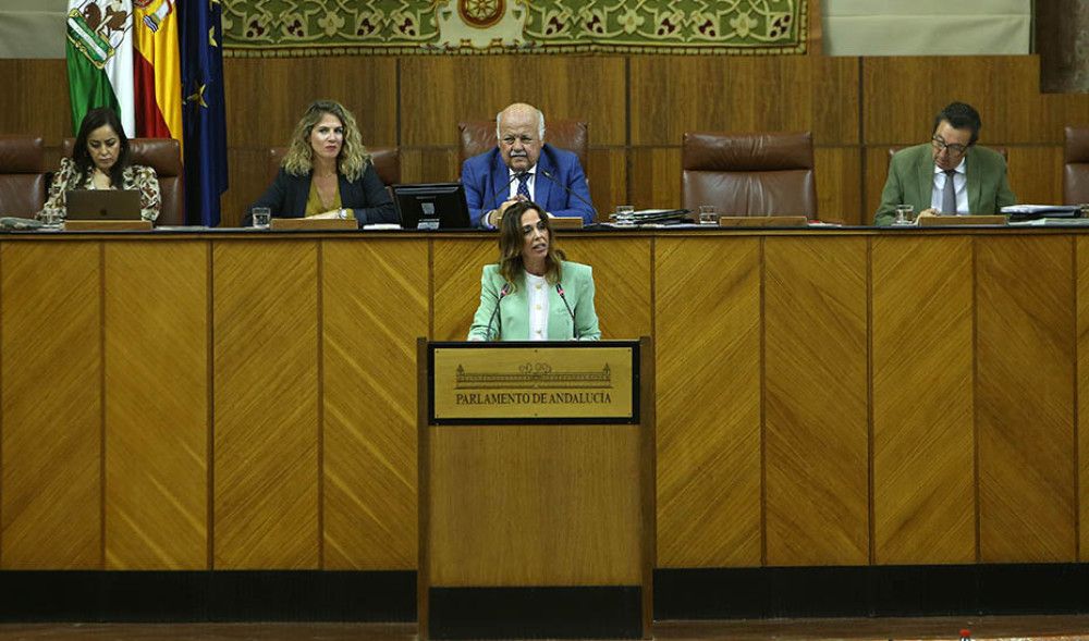 El Parlamento andaluz convalida el decreto ley para el aval hipotecario a menores de 35 años