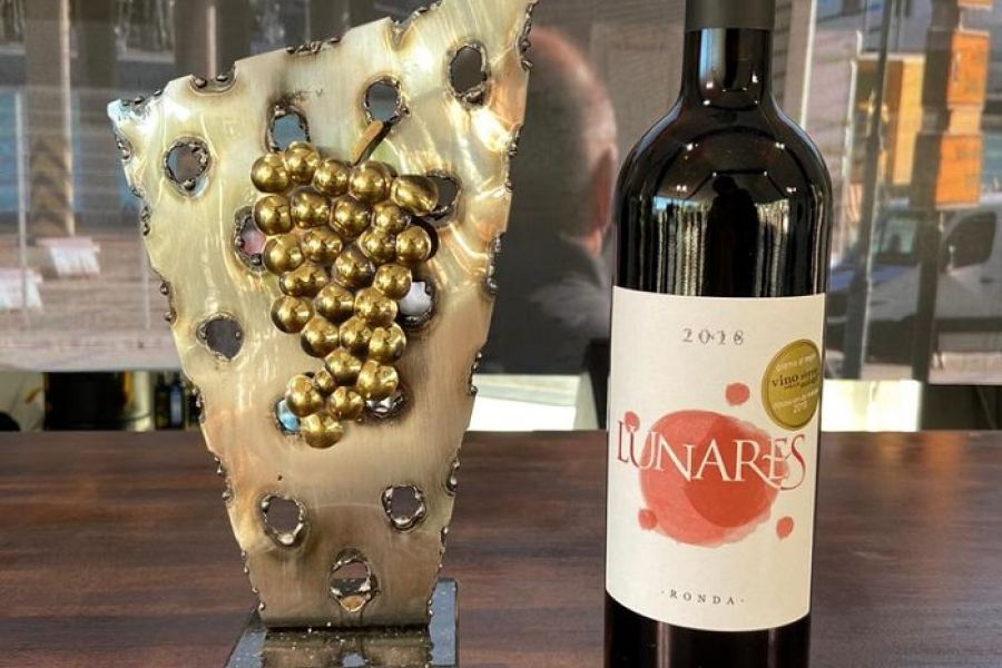 \"Sabor a Málaga\" entrega los premios a los mejores vinos de la provincia