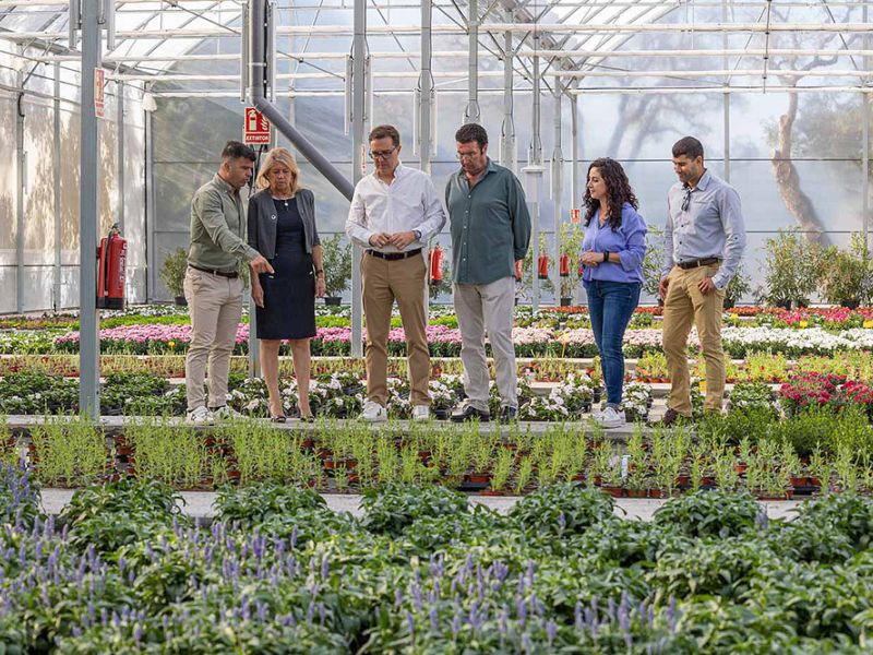 La alcaldesa destaca “la apuesta por la innovación, la sostenibilidad y el ahorro de costes” del vivero municipal de Las Chapas, que ya está en funcionamiento y producirá 600.000 plantas al año