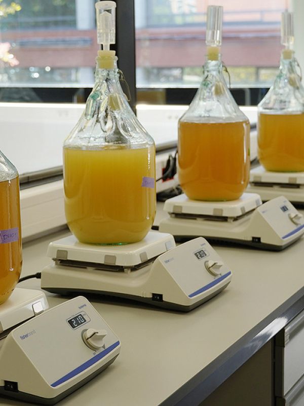 El CSIC presenta una bodega experimental que avanza la aplicación de “gemelos digitales” en el sector del vino