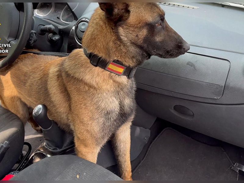 La Guardia Civil intercepta en Navarra un vehículo con 40 kilos de "speed" en días previos a los Sanfermines
