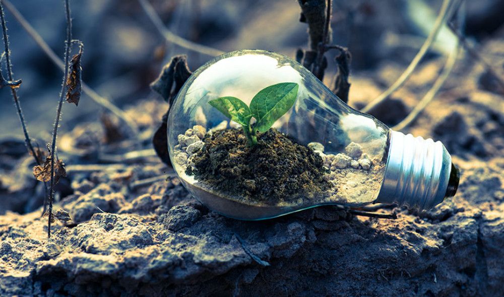 Iniciados los trámites para las ayudas a entidades locales con proyectos contra el cambio climático