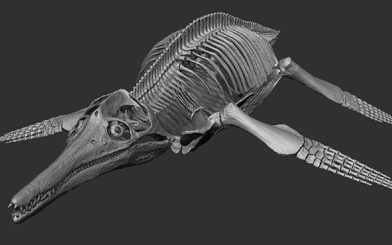 Científicos rusos estudian la anatomía y el comportamiento de un pliosaurio mediante un escáner 3D