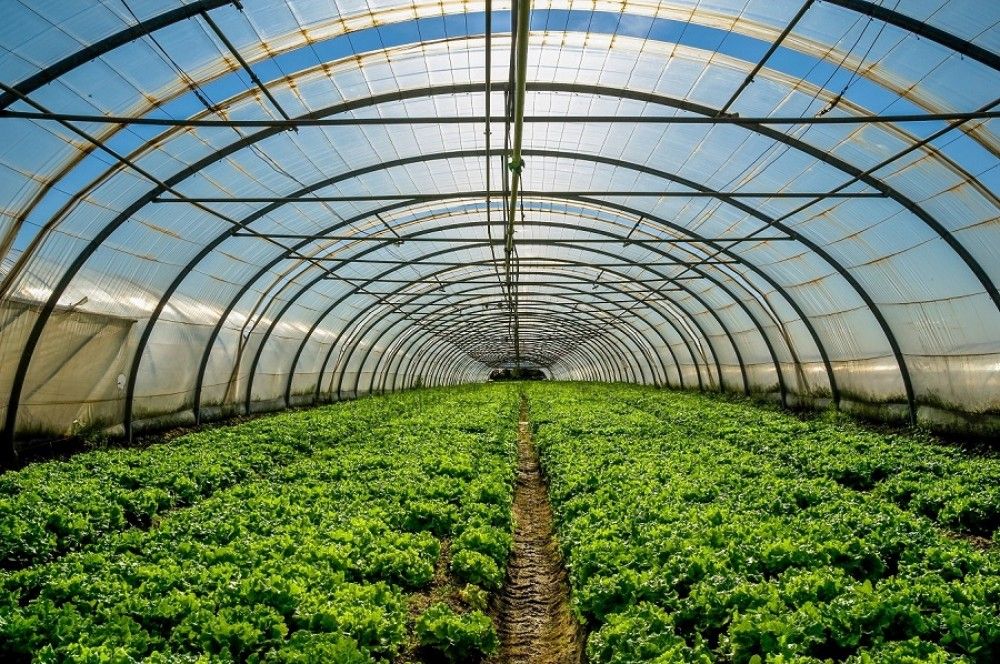 El Ifapa lidera una investigación para mejorar la producción bajo invernadero con sistemas pasivos de calefacción y refrigeración