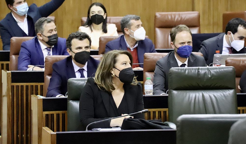 El Parlamento andaluz convalida el decreto ley de nuevas medidas urgentes para paliar los efectos de la sequía
