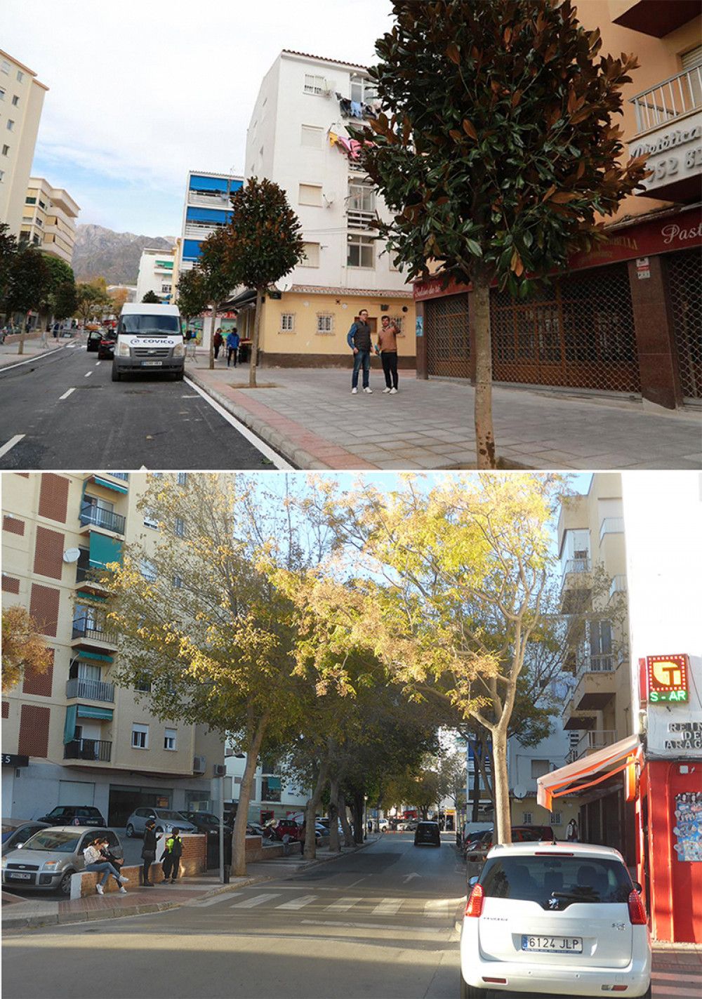 Medio centenar de nuevos árboles de pequeño tamaño sustituyen a los de gran porte que fueron talados para remodelar la avenida del Trapiche