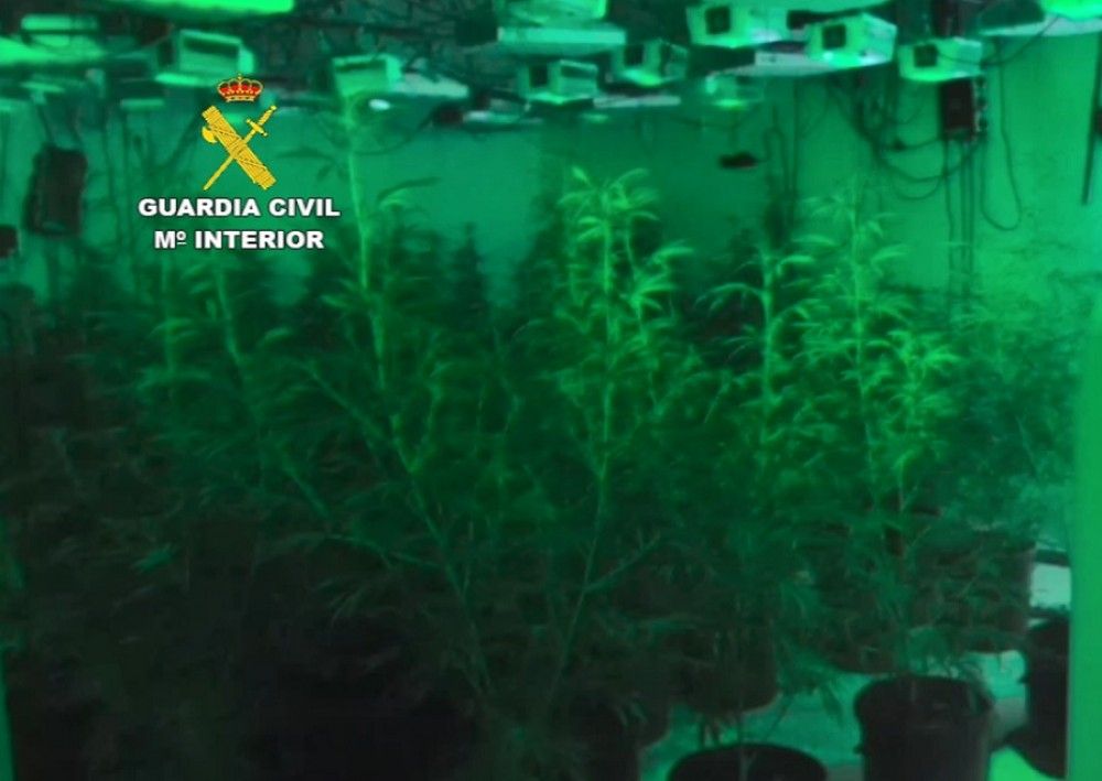 La Guardia Civil desmantela en Marbella y Coín una organización dedicada al cultivo y distribución de marihuana