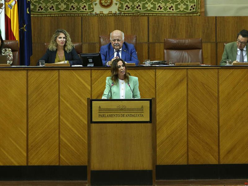 El Parlamento andaluz convalida el decreto ley para el aval hipotecario a menores de 35 años