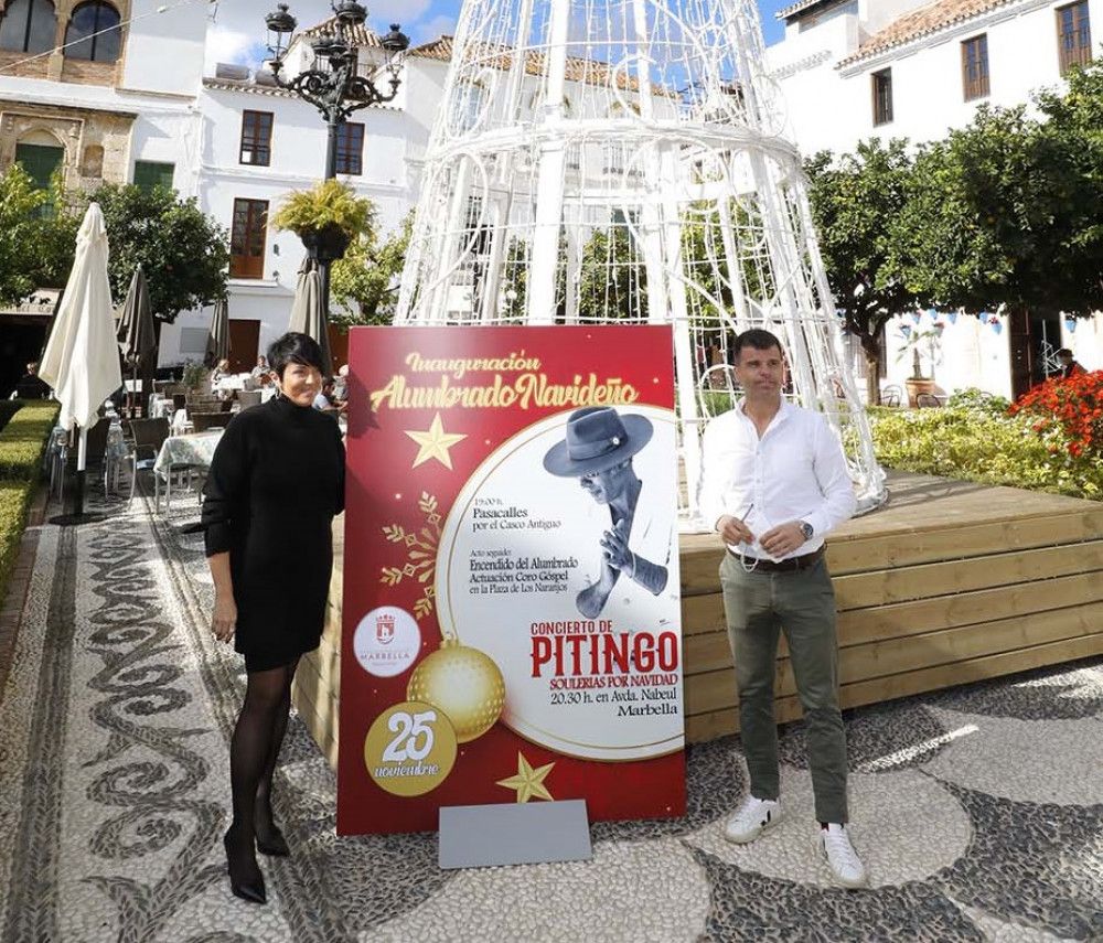 Marbella iluminará su Navidad con cerca de tres millones de puntos de luz y la instalación de figuras y motivos de gran tamaño en lugares estratégicos