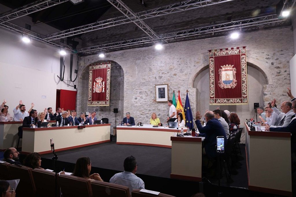 Marbella reclama al Gobierno central la mejora e integración de las pantallas acústicas de la A-7 y un plan de conservación y limpieza