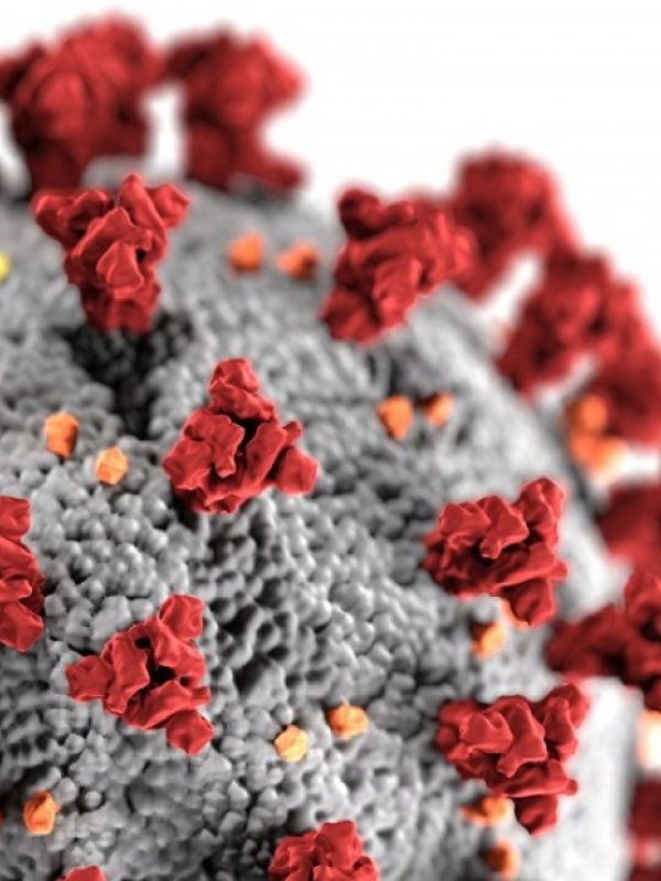 Una nueva mutación del SARS-CoV-2 surgió en España en verano y se extendió por Europa, según un estudio