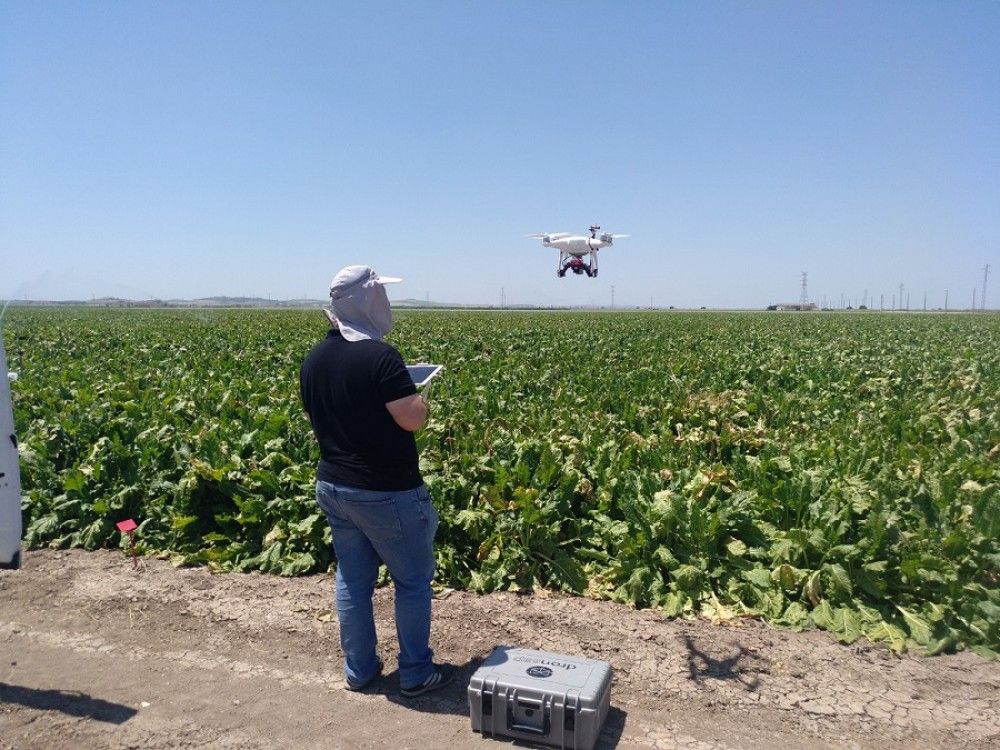 El Ifapa estudia utilizar drones para medir la eficacia del riego en los cultivos de Andalucía
