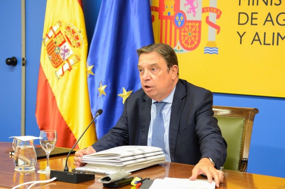 Ministerio y autonomías acuerdan la posición que defenderá España en la recta final de la negociación de la PAC