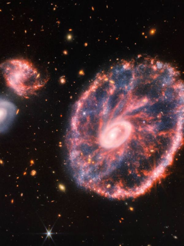 El telescopio James Webb observa nuevos detalles estelares en la galaxia Cartwheel