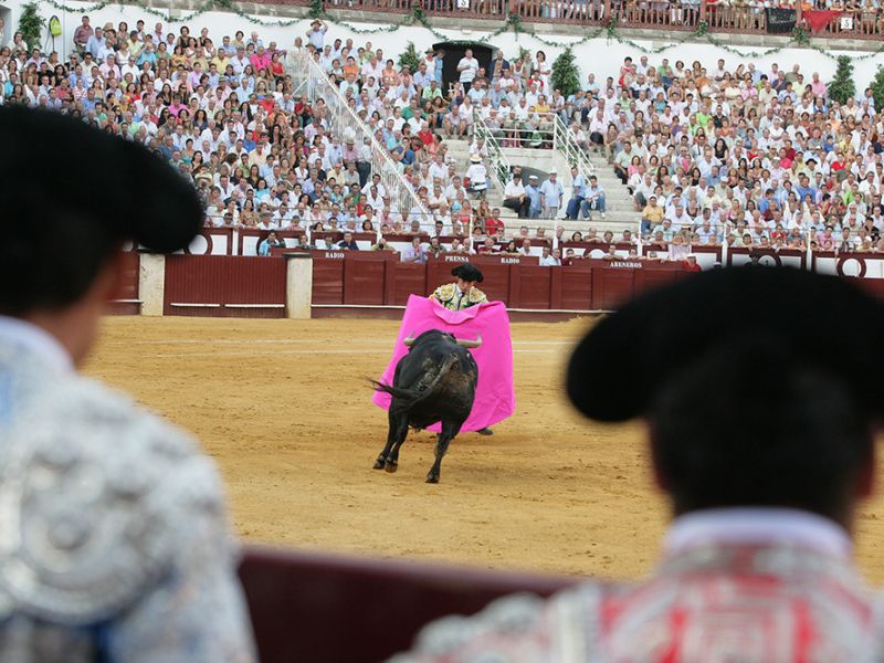 El Tribunal Supremo anula la exclusión de los espectáculos taurinos del Bono Cultural Joven