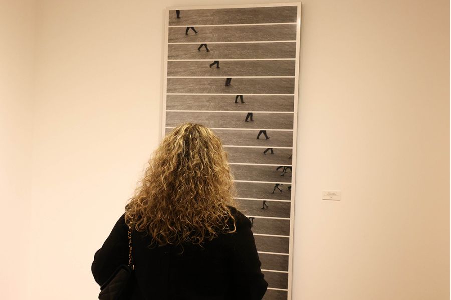 La Diputación de Málaga presenta en una exposición las nuevas obras incorporadas a su patrimonio artístico