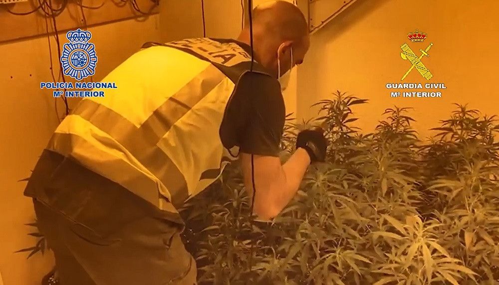Guardia Civil y Policía Nacional desarticulan una organización criminal dedicada al tráfico de drogas en la provincia de Málaga
