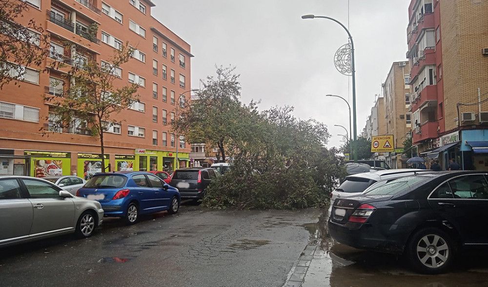 El viento y la lluvia causan casi 400 incidencias en Andalucía