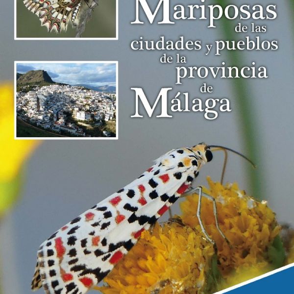 La Diputación de Málaga presenta la primera guía sobre mariposas urbanas de la provincia