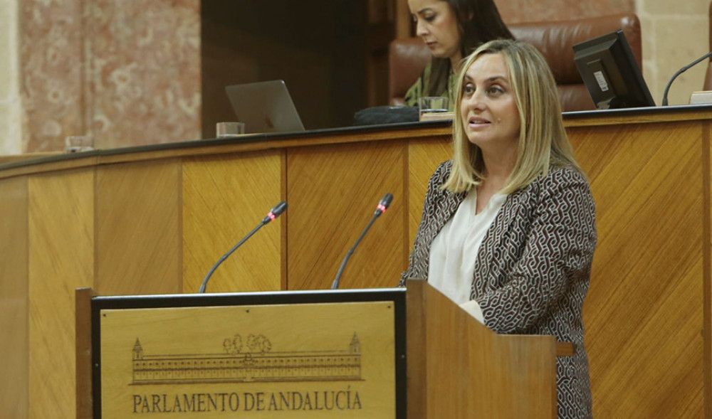 La consejera de Fomento considera que "Andalucía garantiza la armonía entre VTC y taxi en beneficio de los usuarios"