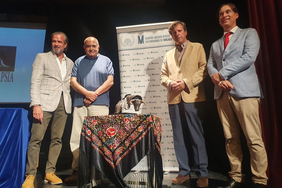 El centro cultural MVA de la Diputación acoge la exposición ‘Taurokathapsia\' del artista y veterinario Luis Alberto Calvo