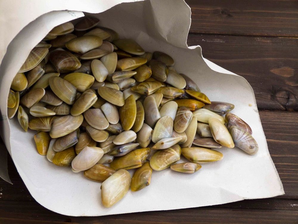 Hoy martes termina el paro biológico del marisqueo de coquina fina en el Golfo de Cádiz