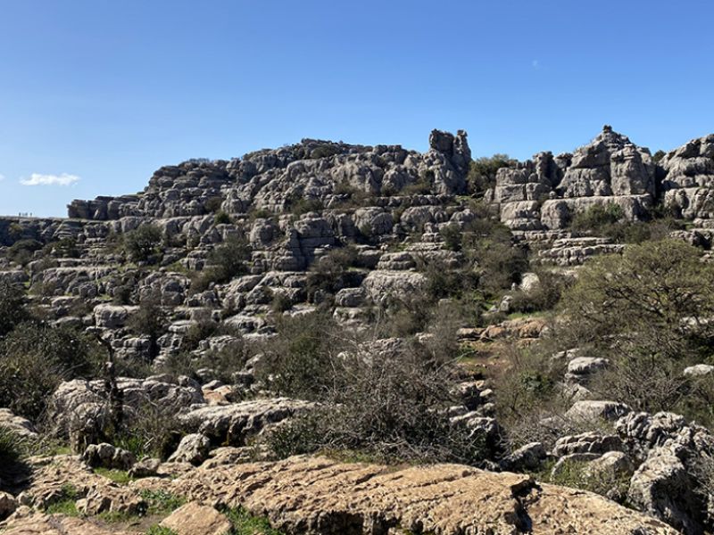 Casi 41.000 escolares han participado en el programa de visitas guiadas a espacios naturales de Andalucía
