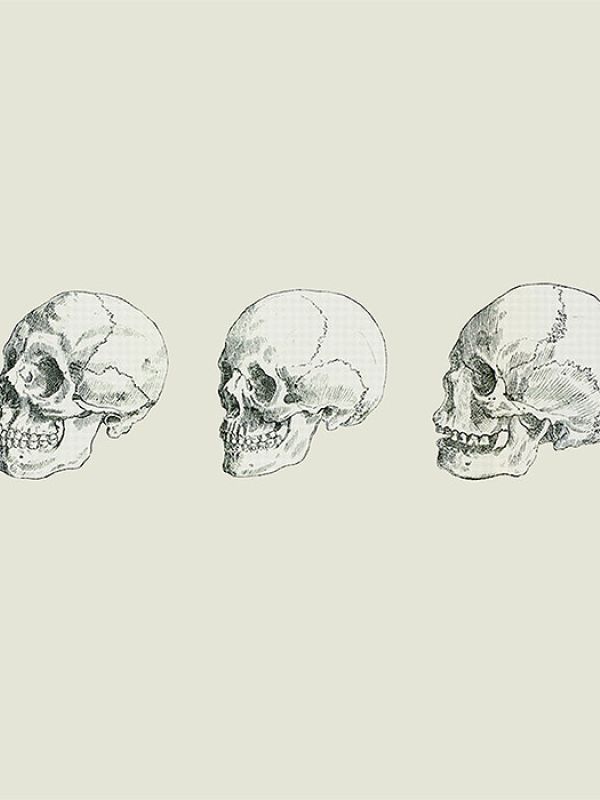 El último libro de divulgación del CSIC aclara incógnitas sobre el origen y evolución del Homo sapiens