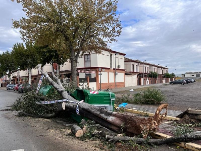 El 112 atiende más de 700 incidencias por el temporal de viento entre las 7.00 y las 13.00 horas