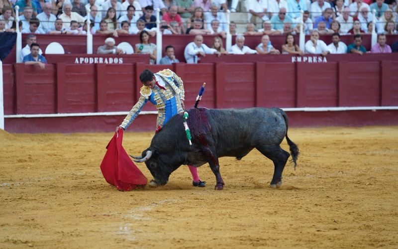 Fortes logra su quinto Estoque de Plata ‘Antonio Ordóñez’ de la Diputación de Málaga por la faena del 21 de agosto