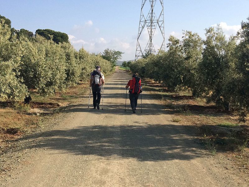 La Diputación modernizará la ruta del Camino Mozárabe de Santiago que transcurre por la provincia