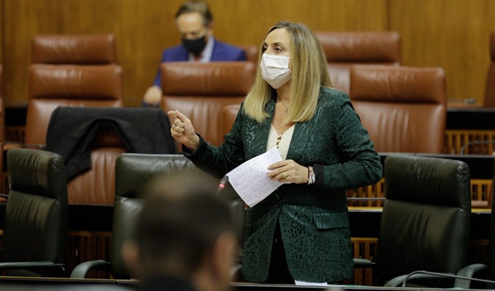 La consejera de Fomento asegura que "el parón de la SE-40 acarreará reclamaciones millonarias como las del Metro"